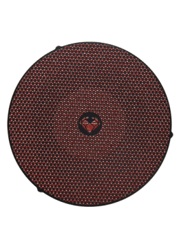 Disque de prépolissage